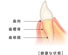 健康な状態